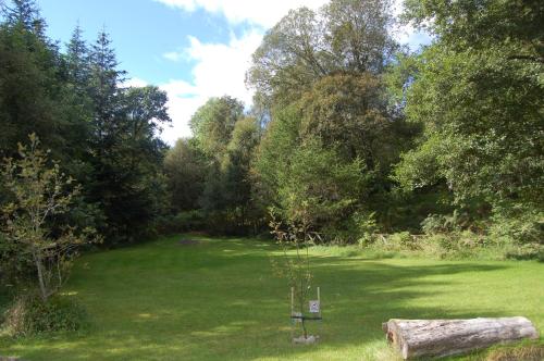 a garden with a tree in the middle of a field at Woodland Chestnut Lodge in Killin
