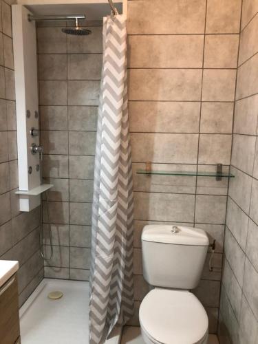 La salle de bains est pourvue de toilettes et d'un rideau de douche. dans l'établissement Le Val Fleuri, à Sète