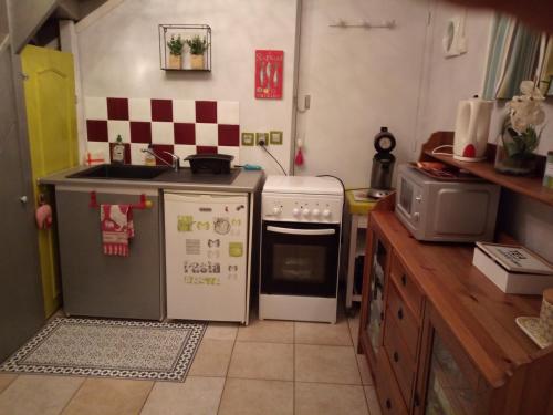una pequeña cocina con fogones y fregadero en Chez Sylvie et claude, en Milly-sur-Thérain