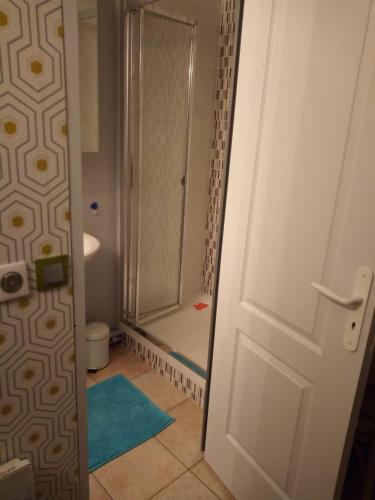 een badkamer met een douche, een toilet en een deur bij Chez Sylvie et claude in Milly-sur-Thérain