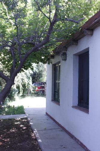Cabaña en Olivar Centenario Agroecológico Tutuna