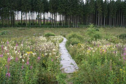 Jardin de l'établissement Hotel Wemperhardt