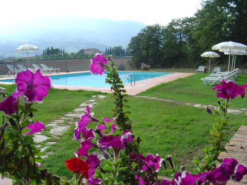 a swimming pool with pink flowers in the grass at Villa Palazzo Bello con piscina e AC - Cetona in Cetona