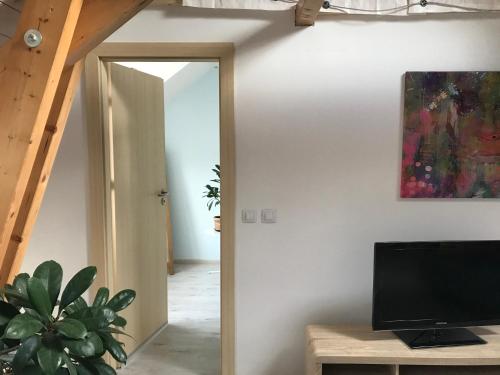 een woonkamer met een televisie en een spiegel bij Vaals B&B Suite Apartment in Vaals