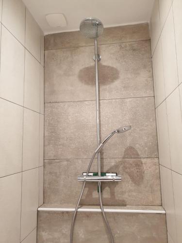 a shower with a shower head in a bathroom at RAND'UBAYE in Barcelonnette