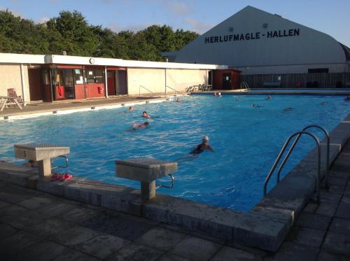 a group of people swimming in a swimming pool at Herlufmagle Hallen in Herlufmagle
