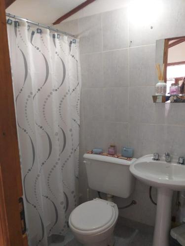 a bathroom with a toilet and a sink at Casa Sol y Luna in Ushuaia