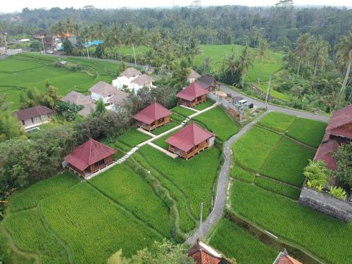 an aerial view of a resort with green grass at Ubud Sawah Scenery Villa and Homestay in Tegalalang