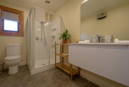 a bathroom with a shower and a toilet and a sink at Willowbrook Country Apartments in Arrowtown
