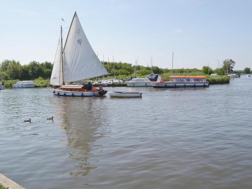 Windsurfing at the vacation home or nearby 