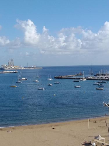 calandria las palmas