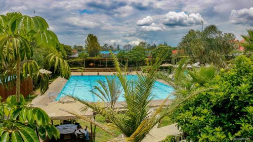 a view of a swimming pool with palm trees at Kivu Resort in Nakuru