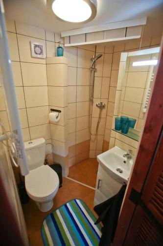 a bathroom with a shower and a toilet and a sink at Dziewięćsił-domek w górach in Duszniki Zdrój