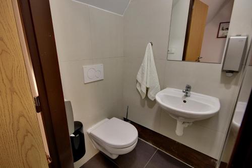 a white bathroom with a toilet and a sink at Apartmany Kadleců in Volary