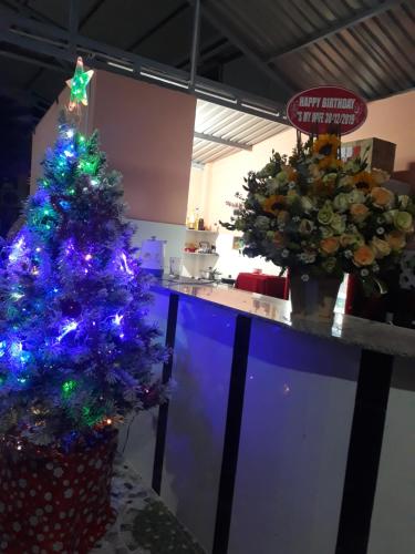 a christmas tree sitting in front of a counter at Lang Chai Guesthouse in Mui Ne