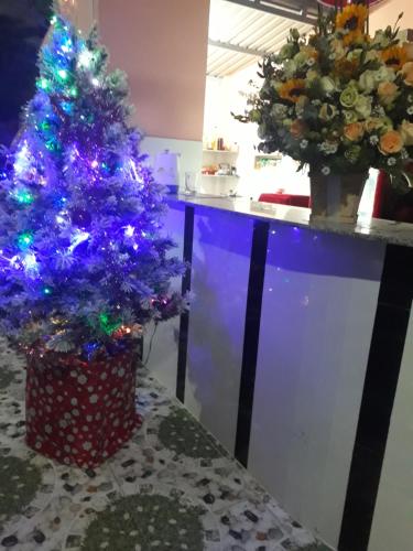 a blue christmas tree with lights on a table at Lang Chai Guesthouse in Mui Ne