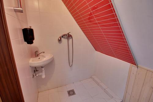 a small bathroom with a shower and a sink at Apartmany Kadleců in Volary