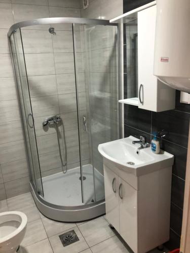 ein Bad mit einer Dusche, einem Waschbecken und einem WC in der Unterkunft Number 9 in Kumanovo