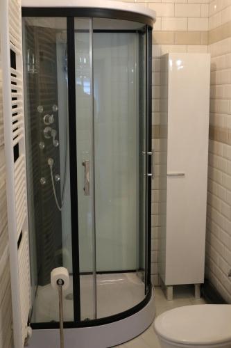 a glass shower in a bathroom with a toilet at B&B Den Boskant in Zandbergen