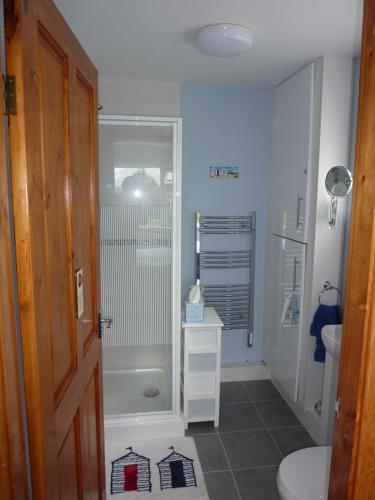 a bathroom with a shower and a toilet at Eildon in Menai Bridge