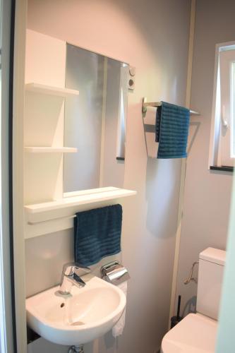 une salle de bain avec un lavabo et un miroir et des toilettes dans l'établissement Den Laage hof, à Heusden