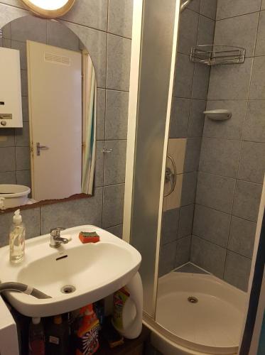a bathroom with a sink and a shower at Gabi Szálló I. in Poroszló