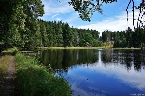 a view of a lake with trees in the background at Rodinný pension Bečov in Bečov nad Teplou