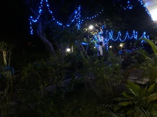 a garden lit up at night with blue lights at Hansika Guest Inn in Buttala