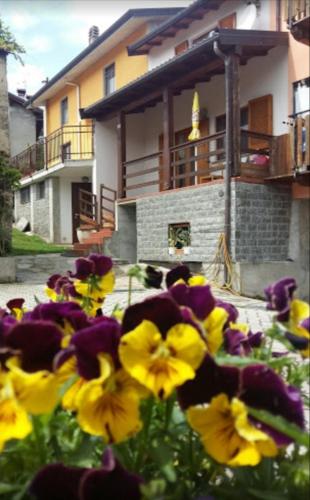 a group of yellow and purple flowers in front of a house at Holiday home Désirée in Sorico