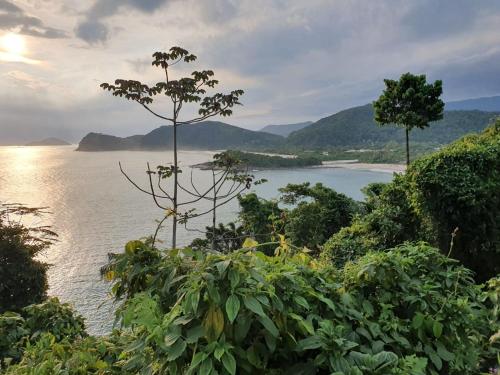 Blick auf einen Wasserkörper mit einem Baum in der Unterkunft Condominio Village Camburi in Camburi