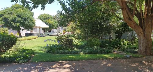 a yard with a tree and a house at Acacia Westdene B&B in Bloemfontein