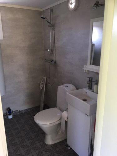 a bathroom with a toilet and a sink at Lilla Gröndal in Köpingsvik