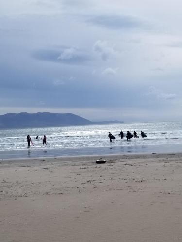 a group of people walking in the water on the beach at Baywatch Inn in Dingle