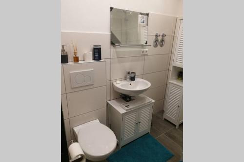 a bathroom with a toilet and a sink at Tolle 1 Zimmer Ferienwohnung mit super Aussicht in Enzklösterle