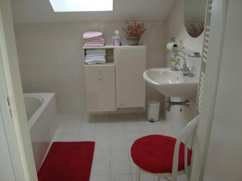 een badkamer met een wastafel en een rood tapijt bij Valckesteyn in Poortugaal