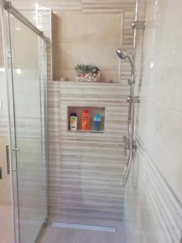a shower with a glass door in a bathroom at Apartment Branko in Drage