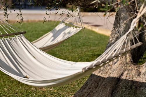 a hammock hanging from a tree in a yard at Masseria Cisternella in Alliste