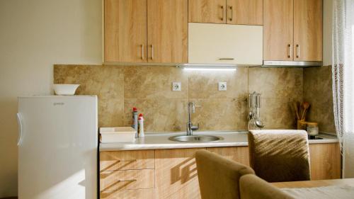 Una cocina o cocineta en Apartment Petrović
