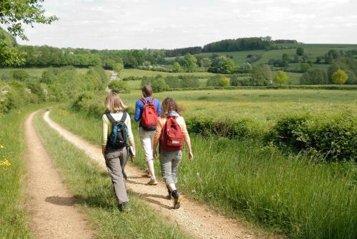 a group of people walking down a dirt road at Zythogite, 23 personnes, 9 chambres, 6 salles de bain, bbq, jacuzzi, jardin, billard in Tintigny