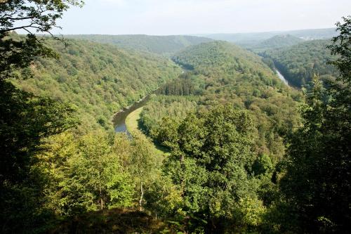 Naturlandschaft in der Nähe der Ferienwohnung
