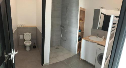 a bathroom with a shower and a toilet and a sink at La gaîté de louvignies in Louvignies-Quesnoy