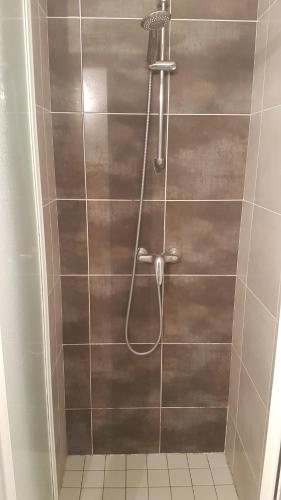 een douche met een slang in de badkamer bij Appart entier 1 ch à ch-gontier 1er ou 2eme étage in Château-Gontier