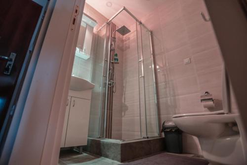 La salle de bains est pourvue d'une douche, d'un lavabo et de toilettes. dans l'établissement Nives, à Belgrade