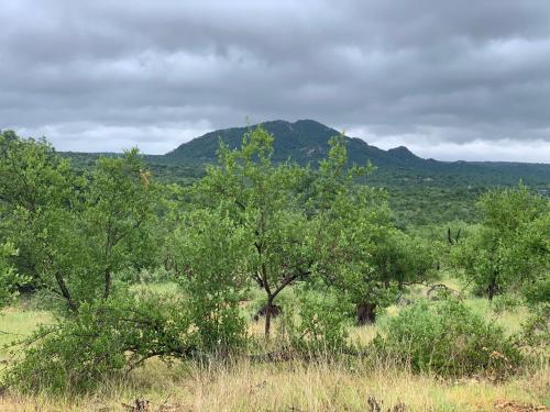 a field with trees and mountains in the background at Modjadji Estate Lodge & Spa in Grietjie Nature Reserve