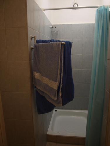 Csernely的住宿－Rozsa Haz，浴室配有浴缸、淋浴和毛巾。