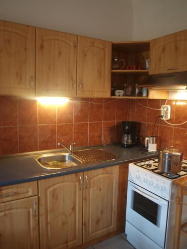 a kitchen with a sink and a stove top oven at Rozsa Haz in Csernely