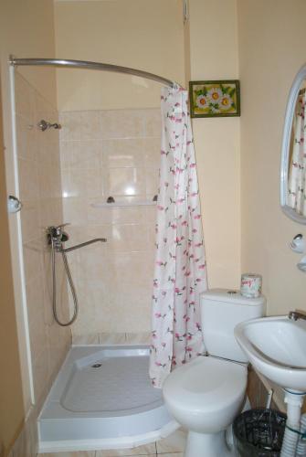 a bathroom with a shower and a toilet and a sink at Hotel Kings Zatoka in Zatoka