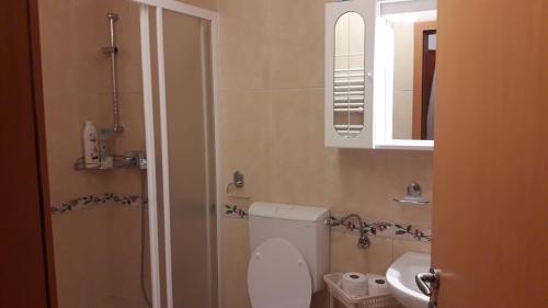 a bathroom with a toilet and a sink and a mirror at Apartments Blažič in Kranjska Gora