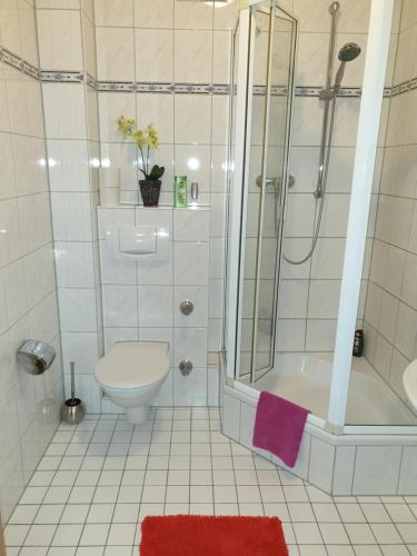 a bathroom with a shower and a toilet and a sink at Hotel Eigelstein in Cologne
