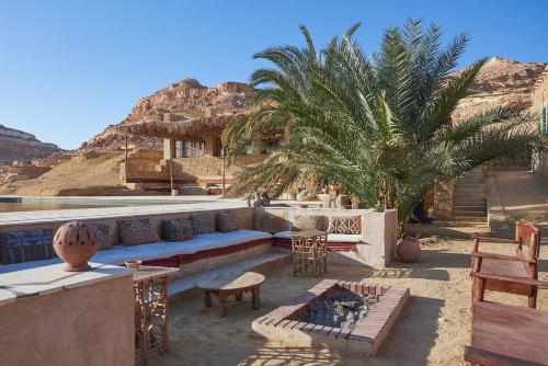 a outdoor patio with a couch and a palm tree at Talist Siwa in Siwa